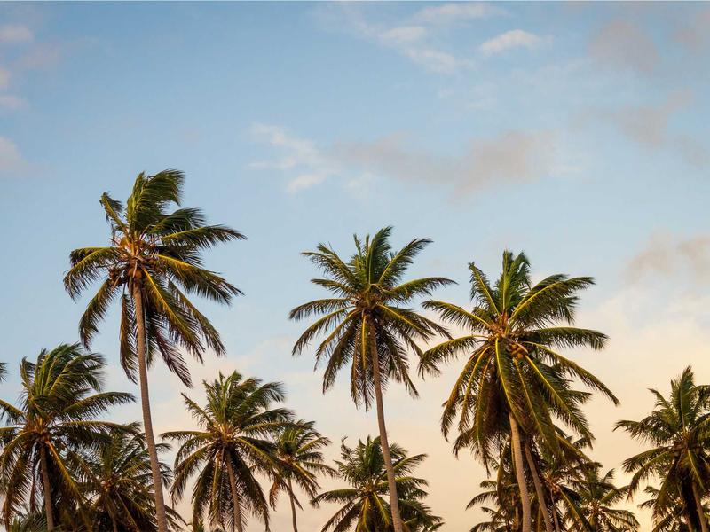 隐私网关<br>AI 鉴黄与敏感词过滤